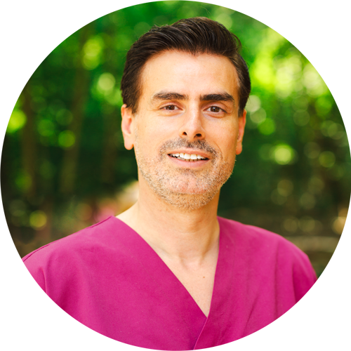 Zahnarztpraxis Bierbaum – Dental Spa I Make You Smile – Team – Theo